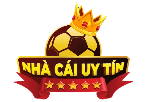 11VN Com